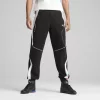 PUMA BMW Trenerka te Poshtme 630617-01