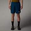 THE NORTH FACE Shorce NF0A895PD1R-REG