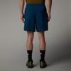 THE NORTH FACE Shorce NF0A895PD1R-REG