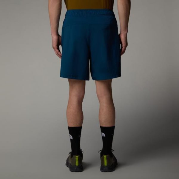 THE NORTH FACE Shorce NF0A895PD1R-REG