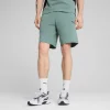 PUMA Shorce 684603-30