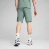 PUMA Shorce 684603-30
