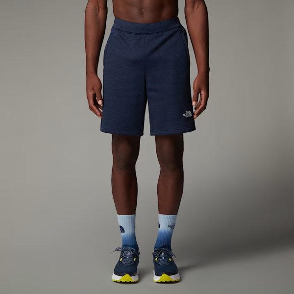 THE NORTH FACE Shorce NF0A8BET8Q0-REG