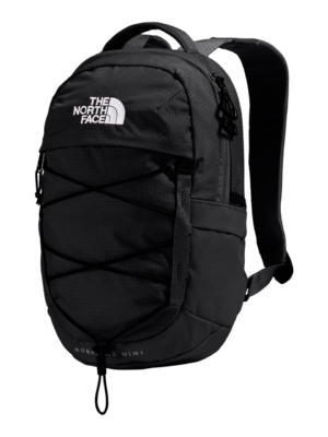 THE NORTH FACE Qante 10L NF0A52SW4HF