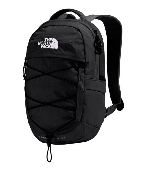 NF0A52SW4HF (1) THE NORTH FACE Qante 10L NF0A52SW4HF