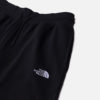 THE NORTH FACE Shorce NF0A8C2GJK3-REG
