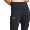 UNDER ARMOUR Hellanke 1386482-001