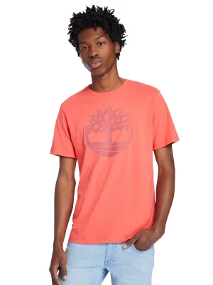TIMBERLAND Maice A2C2R-801