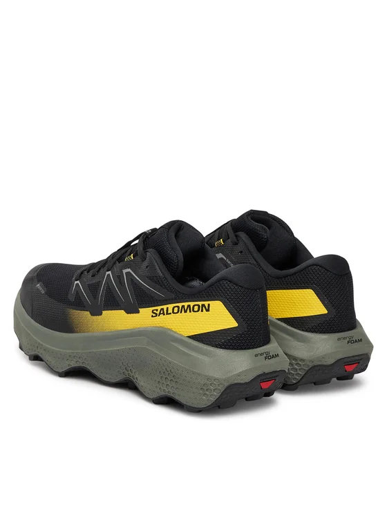 SALOMON ULTRA FLOW 2 GTX L47883200