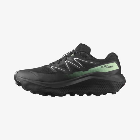 SALOMON ULTRA FLOW 2 GTX L47981400