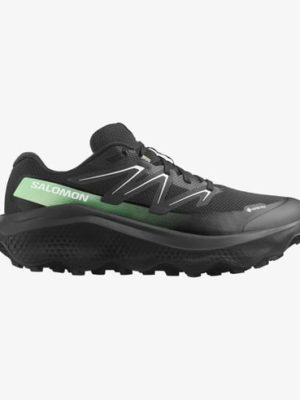 SALOMON ULTRA FLOW 2 GTX L47981400
