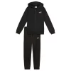 PUMA Trenerka Set 690283-01