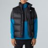 THE NORTH FACE Jelek NF0A8994GOC