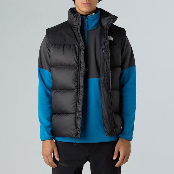 THE NORTH FACE Jelek NF0A8994GOC