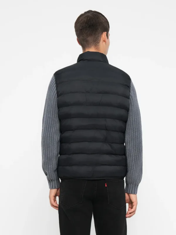 L19908 3986 BLACK BEAUTY