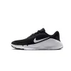 Nike Men s Flex Train Shoes HV9972 003